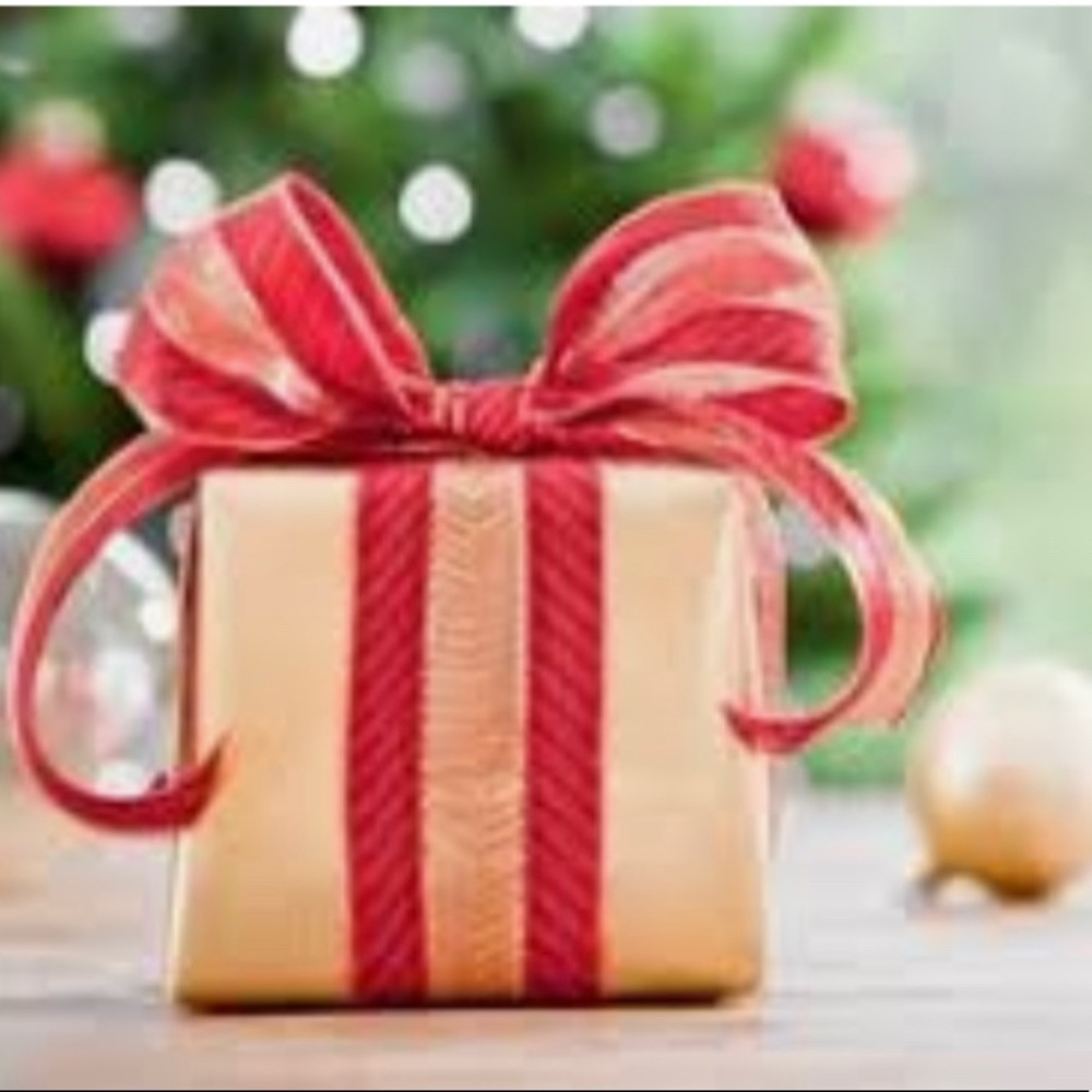 Christmas Surprise!